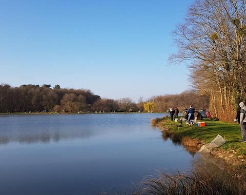 Comite de gestion de étangs - Leignes sur Fontaine